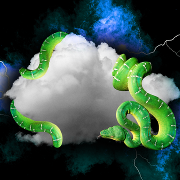 Dreams about snakes green snakes are curled around clouds